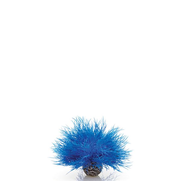 biOrb aquarium zeelelie - blauw