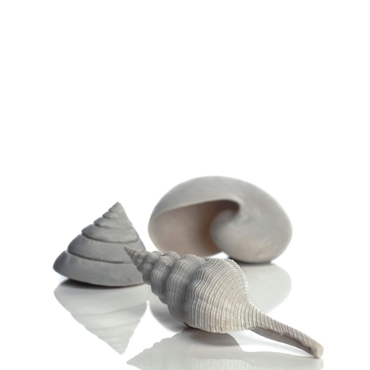 Biorb schelp set - wit