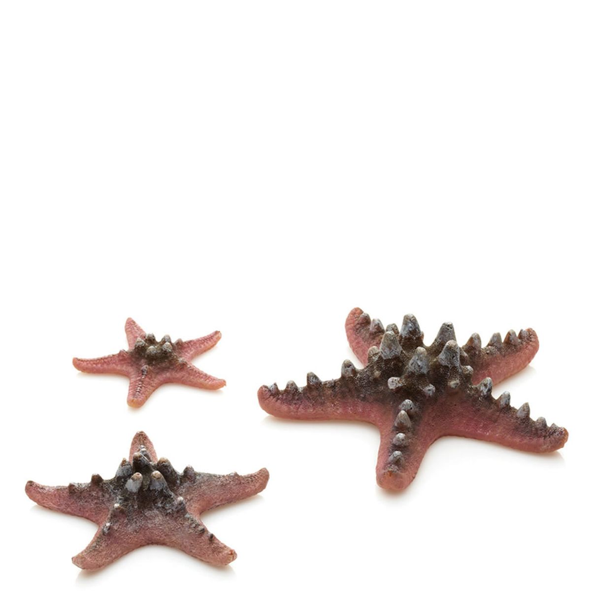 biOrb zeester set - roze