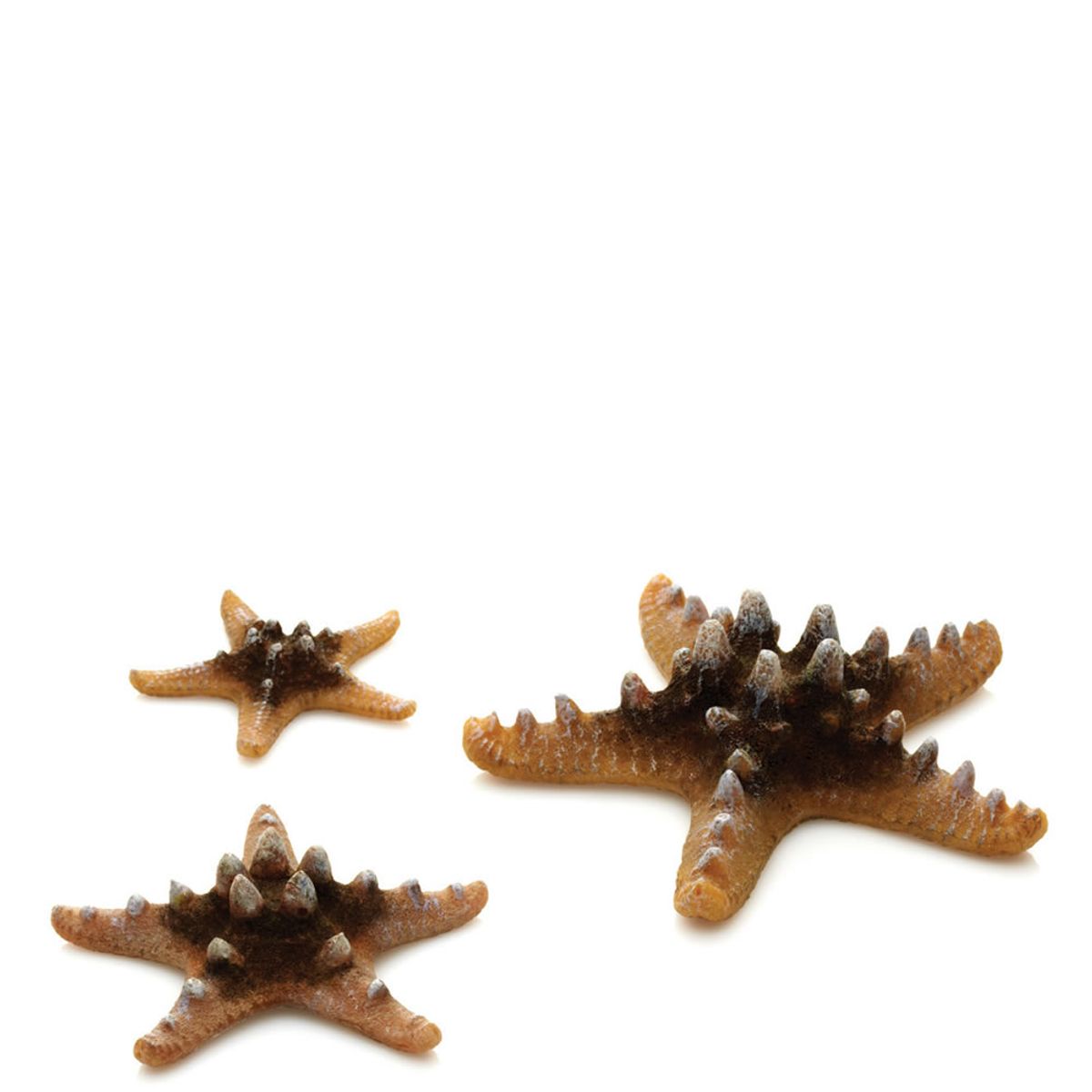 biOrb zeester set - natuurlijk