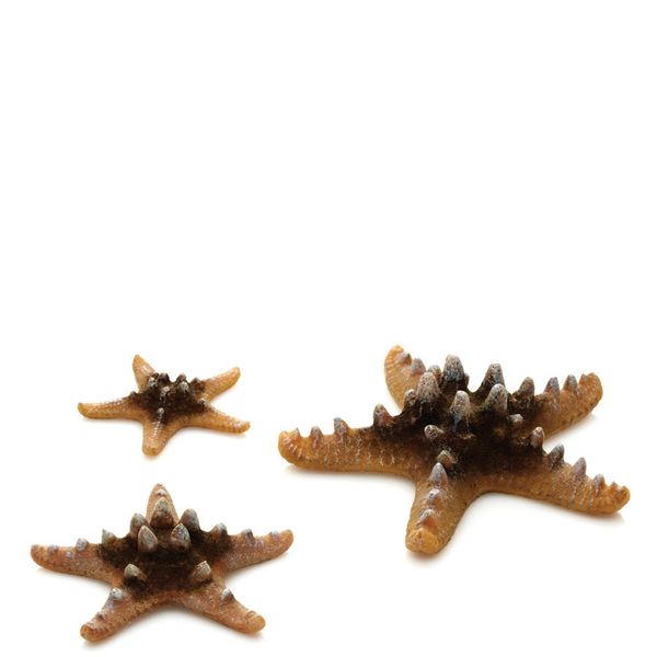 biOrb zeester set - natuurlijk