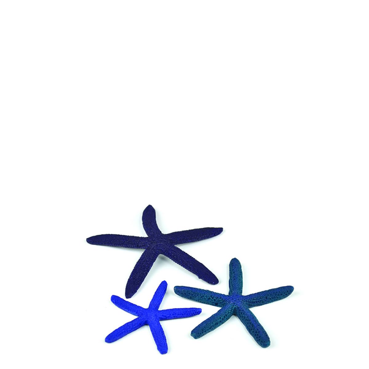 biOrb zeester set - blauw