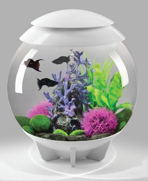 Decoratiepakket Biorb HALO 30 - paars koraal