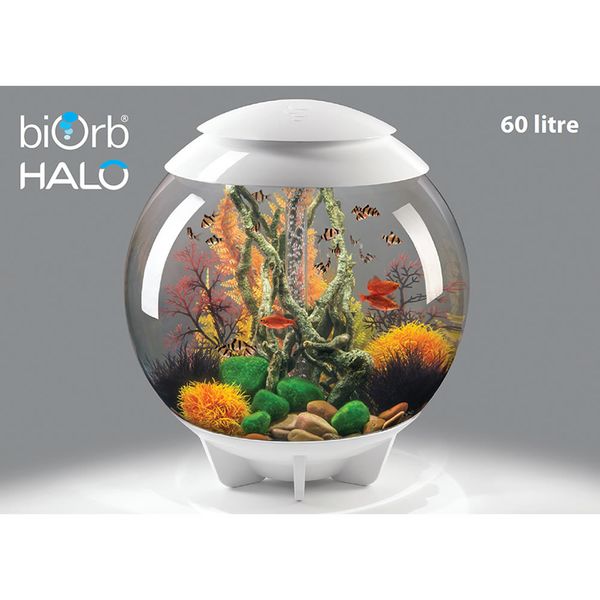 Decoratiepakket Biorb HALO 60 - oranje / kienhout