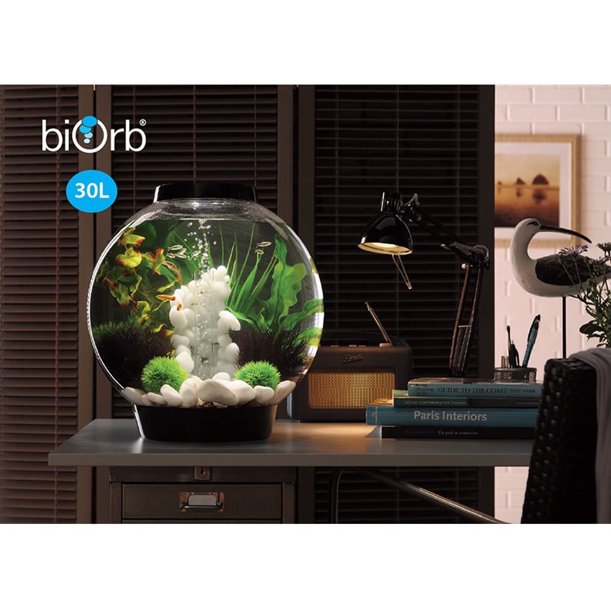 Decoratiepakket Biorb Classic 30 - Groen / Wit / Zwart