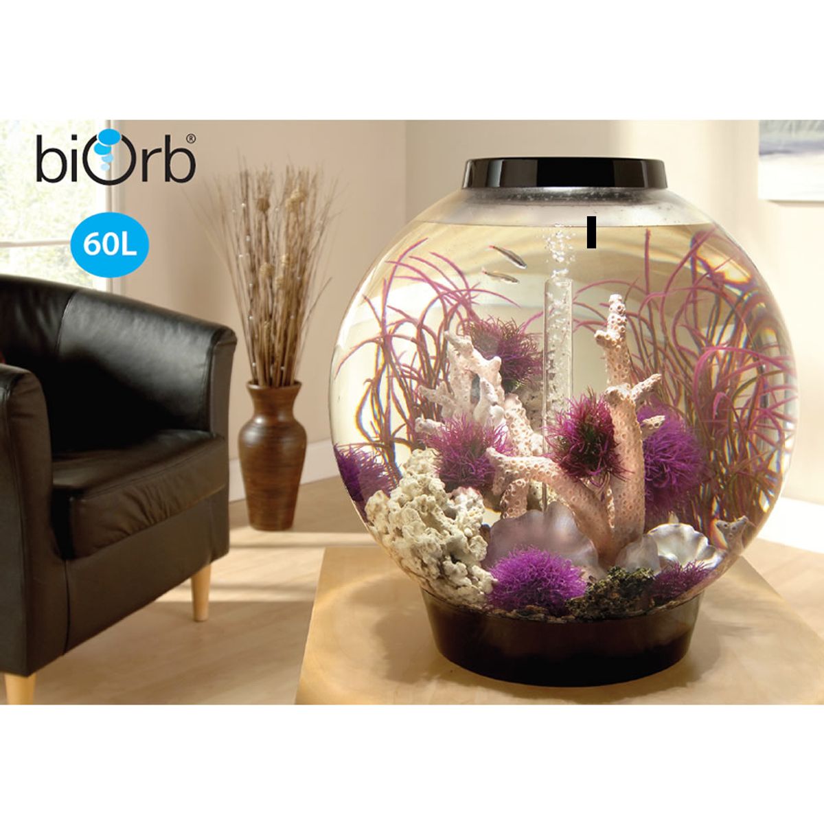 Decoratiepakket Biorb Classic 60 - Paars - Wit