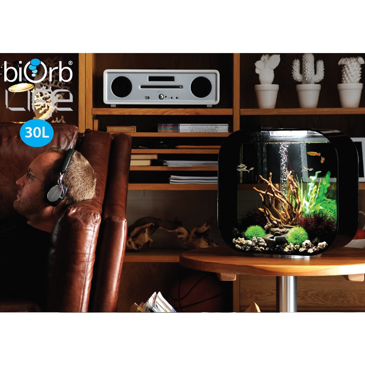 Decoratiepakket Biorb Life 30 - Groen / Donker