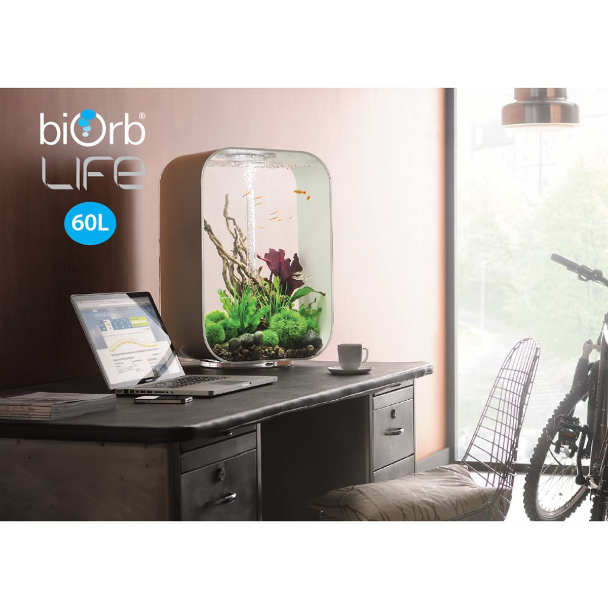 Decoratiepakket Biorb Life 60 - Groen / Paars