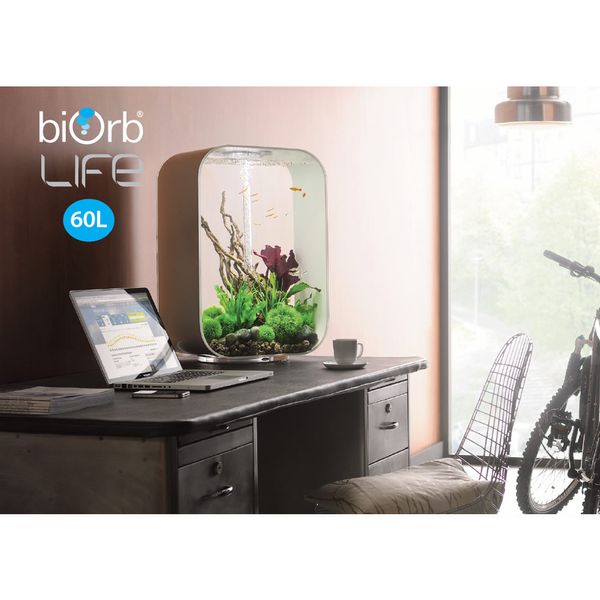 Decoratiepakket Biorb Life 60 - Groen / Paars