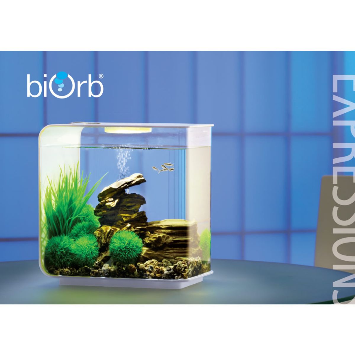 Decoratiepakket Biorb Flow 15 - Rock