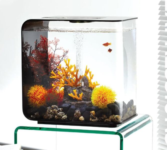 Decoratiepakket Biorb Flow 30 - Lava