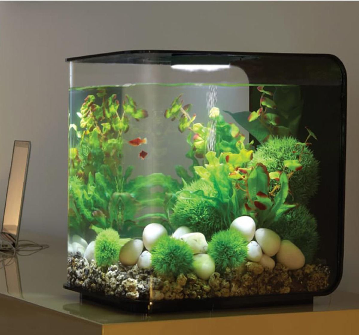 Decoratiepakket Biorb Flow 30 - Groen / Wit