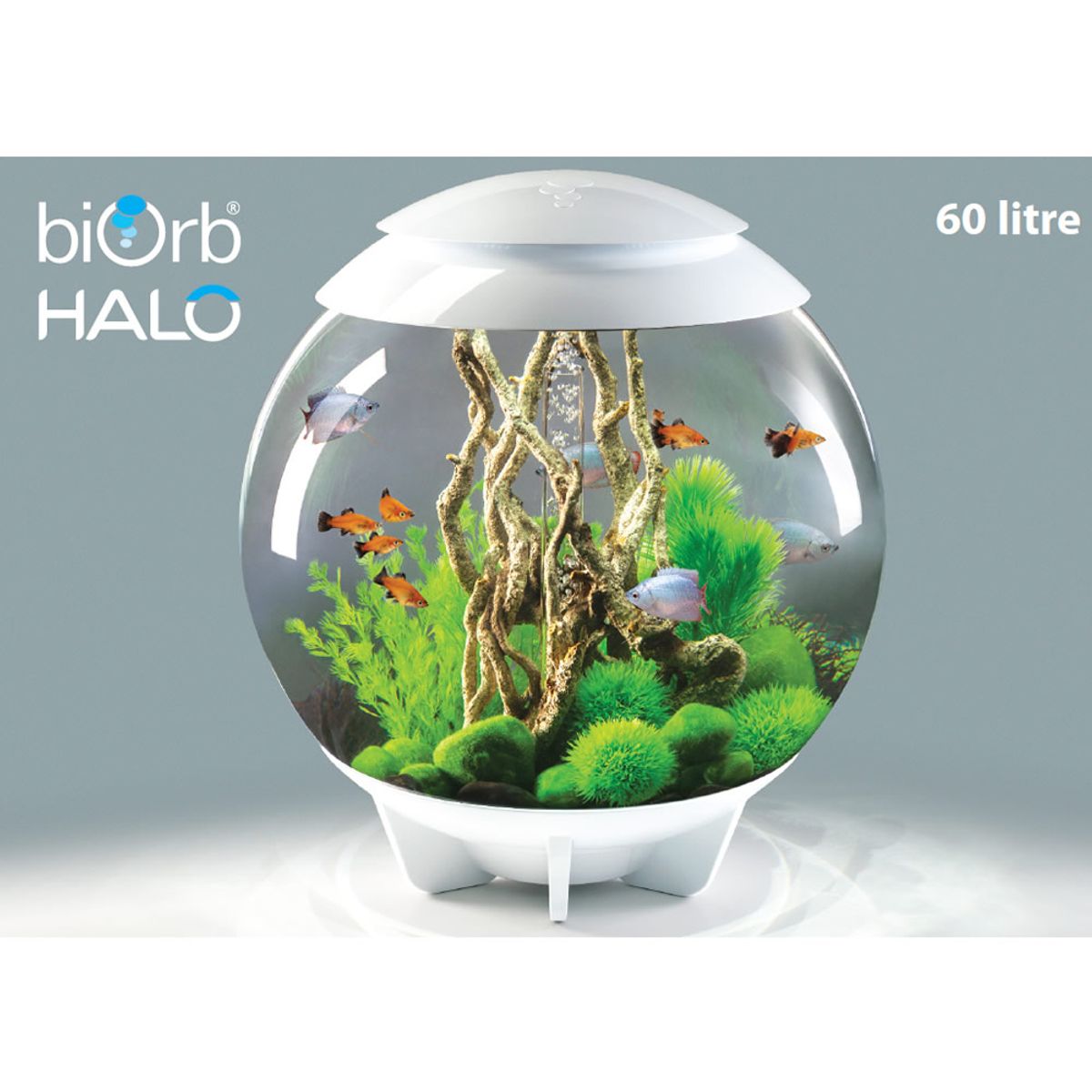 Decoratiepakket Biorb HALO 60 - Groen / Bruin