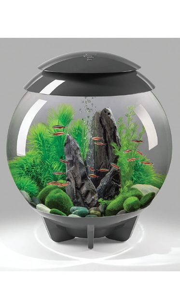 Decoratiepakket Biorb HALO 30 - Donker / Groen