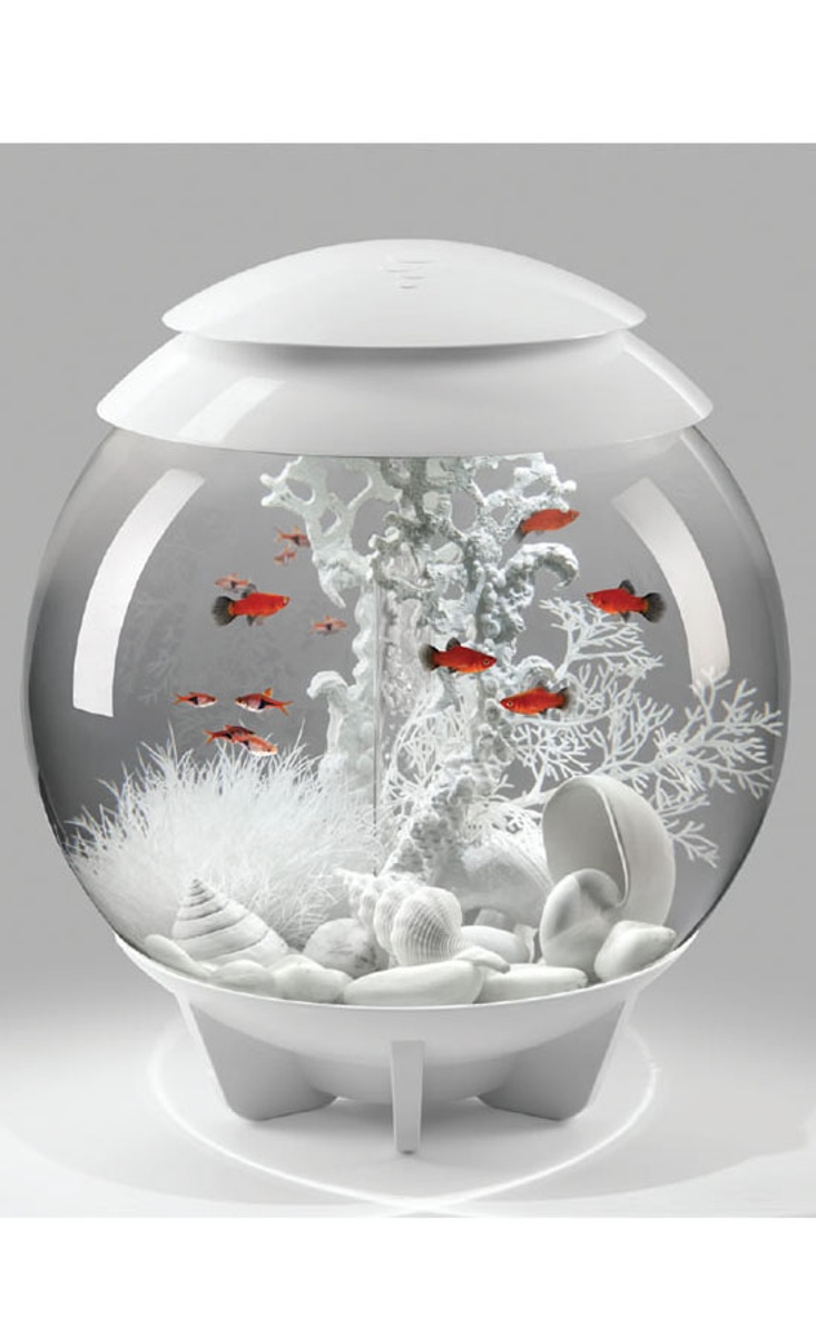 Biorb Halo decoratiepakket - Wit/winter