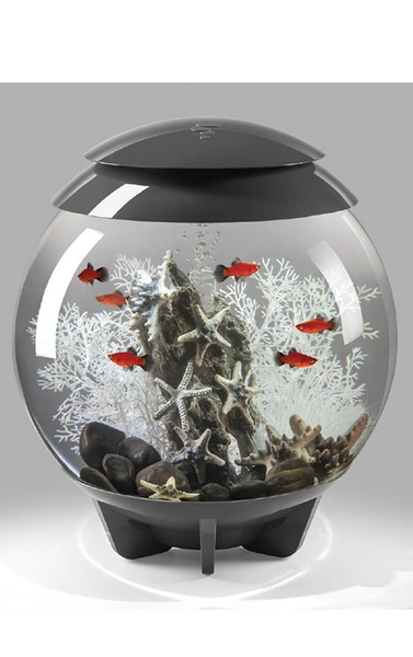 Biorb Halo decoratiepakket - Wit/donker