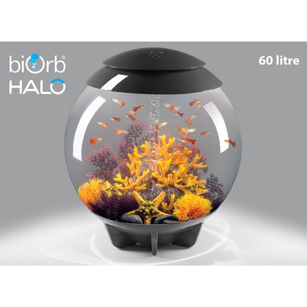 Decoratiepakket Biorb HALO 60 - Vuurkoraal