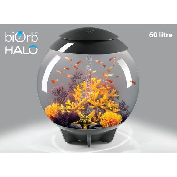 Decoratiepakket Biorb HALO 60 - Vuurkoraal