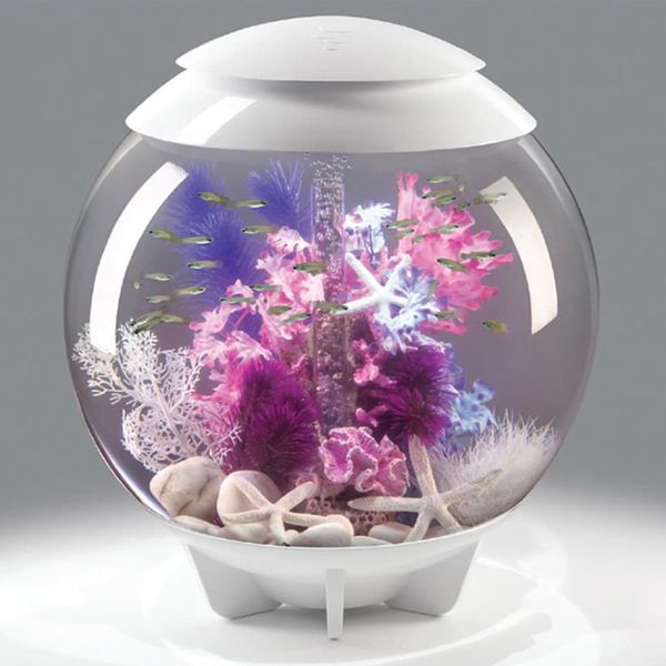 Decoratiepakket Biorb HALO 60 - Roze / Paars koraal