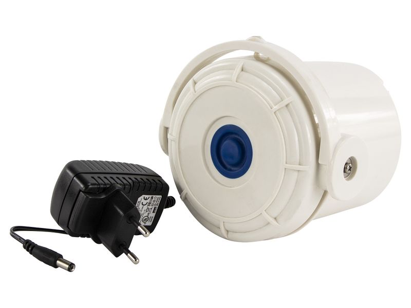 Motor Pool Blaster Catfish