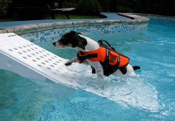 Skamper-Ramp zwembadtrap voor honden