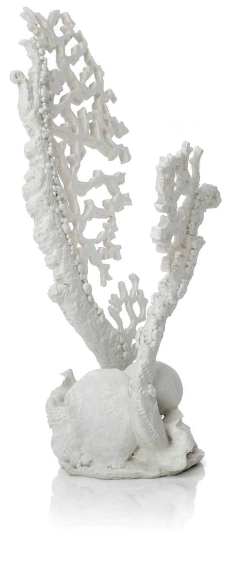 biOrb hoornkoraal ornament wit - klein