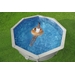 Bestway Hydrium Alderney metalen zwembad Ø360 x 120 cm - sfeer