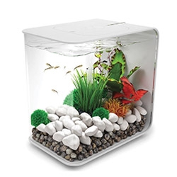 biOrb Flow serie