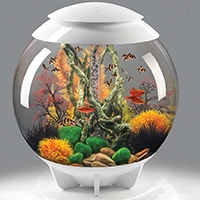 biOrb herfstkleuren