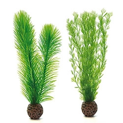 biOrb mannetjesvaren set