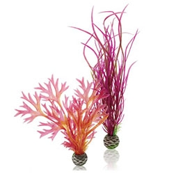 biOrb plantenset rood & roze