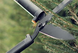 heggenschaar stootbuffers