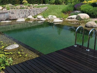 Heldere natuurvijver