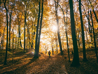 herfstwandeling