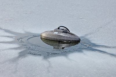 ijsvrijhouder in vijver