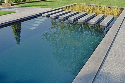 moderne zwemvijver met planten