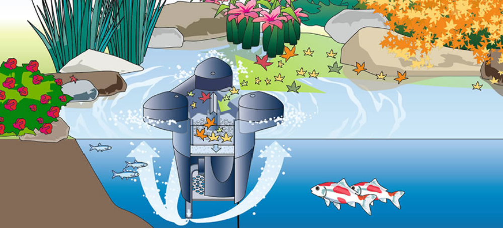 vijver skimmer