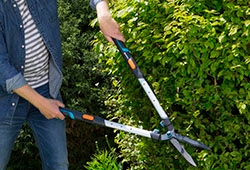 telescopische heggenschaar