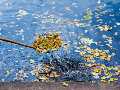 vijver winterklaar maken
