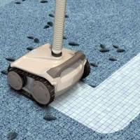 Clever Clean Dolphin