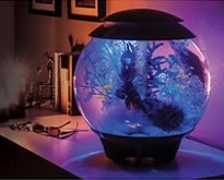 MCR verlichting biOrb aquarium