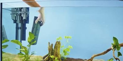 EasyClean Mechanisme Oase Bioplus