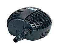 Inclusief vijverpomp en vijverslang