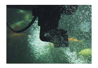 Oase SwimSkim 25 beluchting