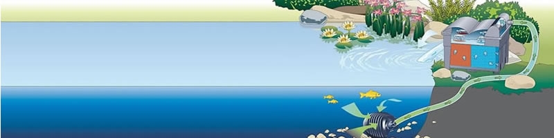 plaatsing oase doorstroomfilter